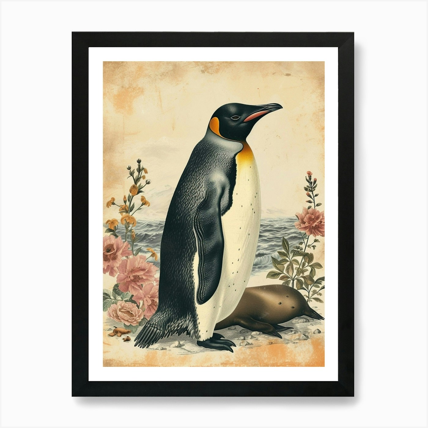 Adlie Penguin Sea Lion Island Vinta Framed Wall Art Poster Canvas Print Picture