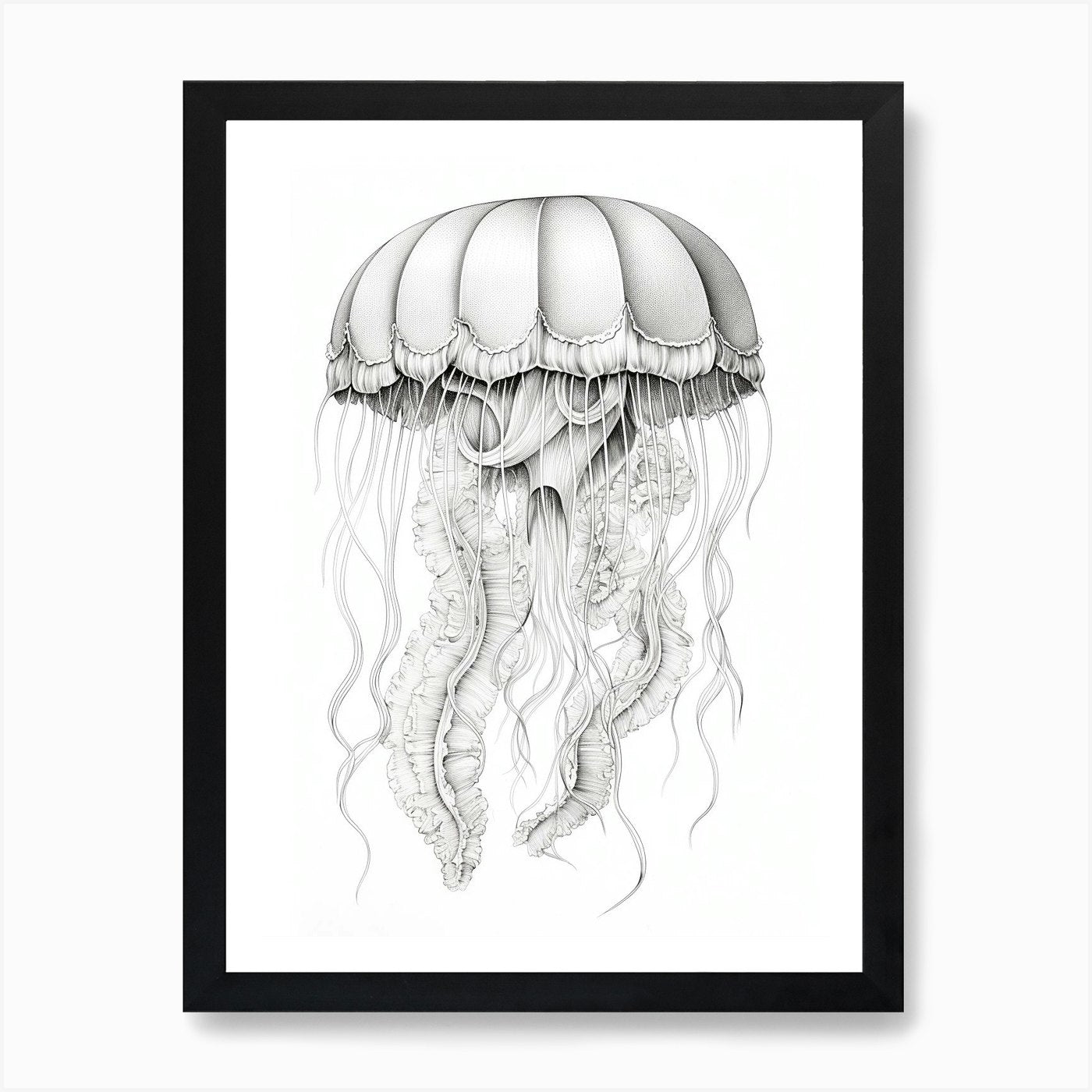 Lions Mane Jellyfish Drawing1 Art P Framed Wall Art Poster Canvas Print Picture