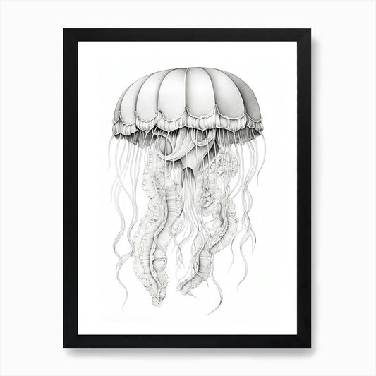 Lions Mane Jellyfish Drawing1 Art P Framed Wall Art Poster Canvas Print Picture