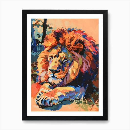Transvaal Lion Resting In The Sun F Framed Wall Art Poster Canvas Print Picture