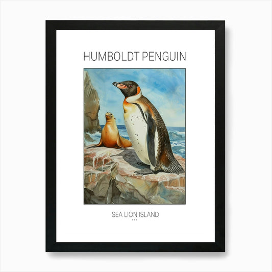 Humboldt Penguin Sea Lion Island Wa Framed Wall Art Poster Canvas Print Picture
