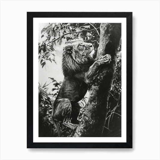 African Lion Charcoal Drawing Climb Framed Wall Art Poster Canvas Print Picture