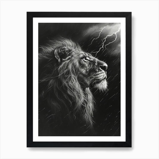 African Lion Charcoal Drawing Facin Framed Wall Art Poster Canvas Print Picture