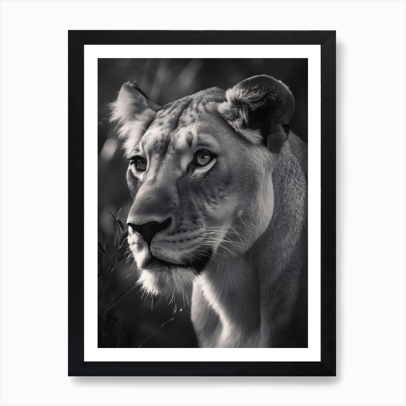 Lion Queen Art Print Framed Wall Art Poster Canvas Print Picture