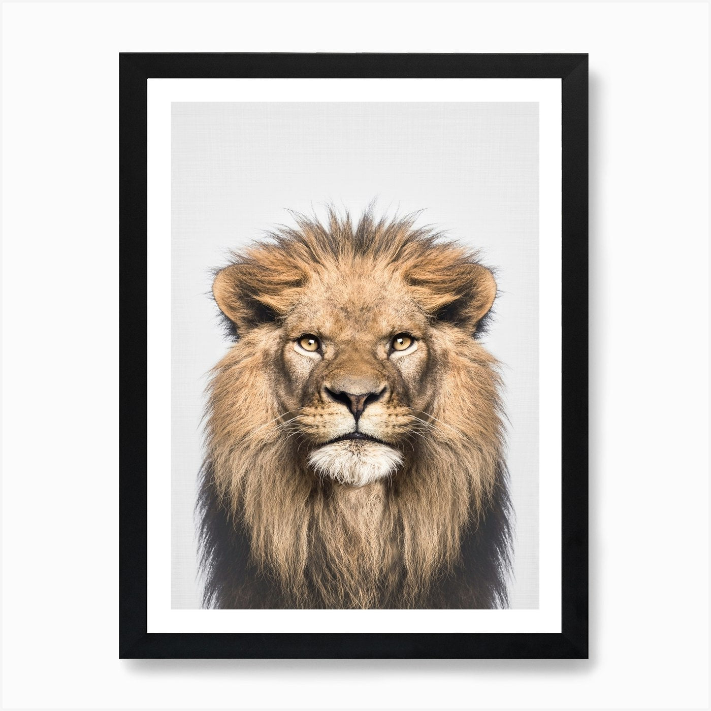 Lion Portrait Animal Art Print Framed Wall Art Poster Canvas Print Picture