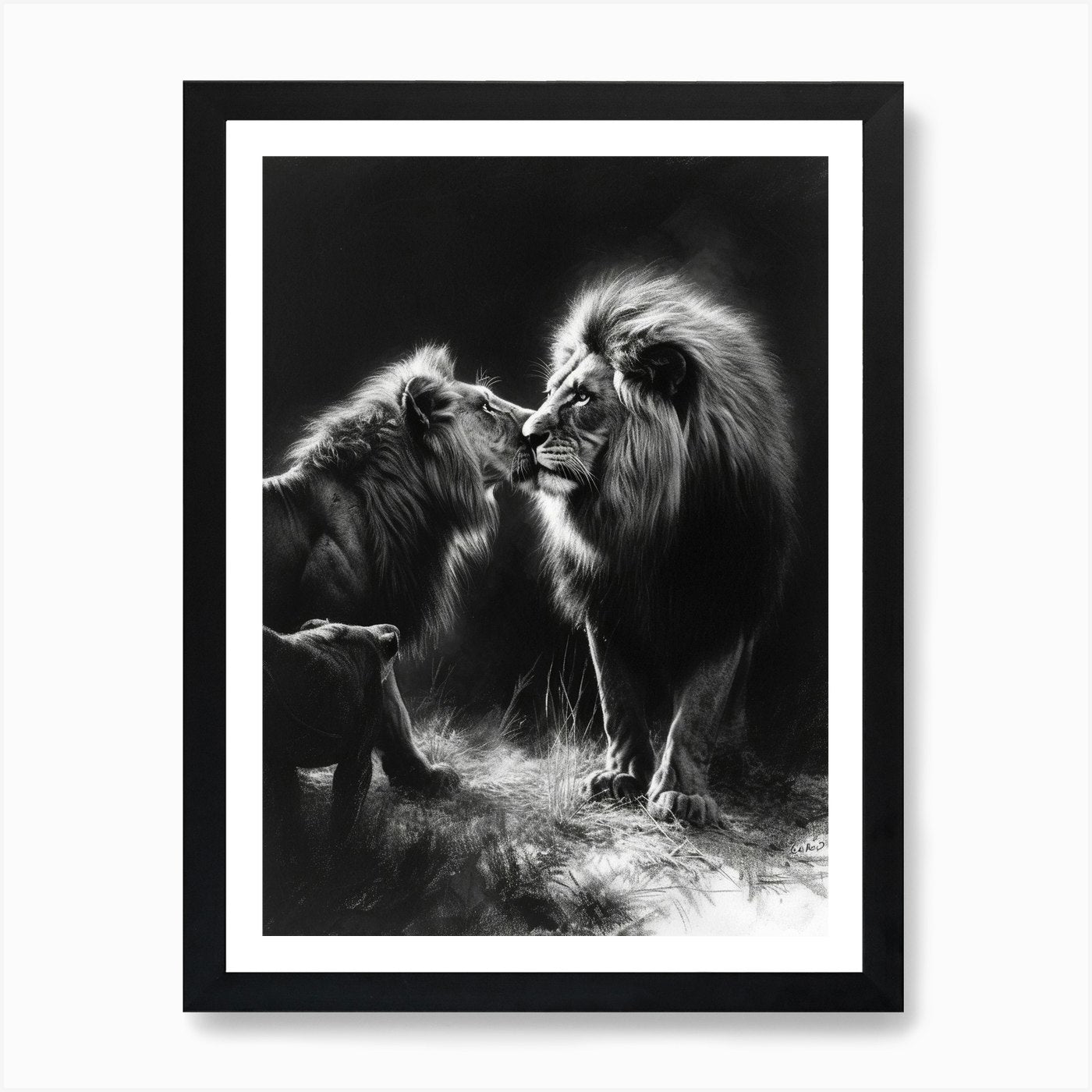 Barbary Lion Charcoal Drawing Inter Framed Wall Art Poster Canvas Print Picture