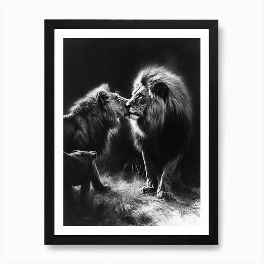 Barbary Lion Charcoal Drawing Inter Framed Wall Art Poster Canvas Print Picture
