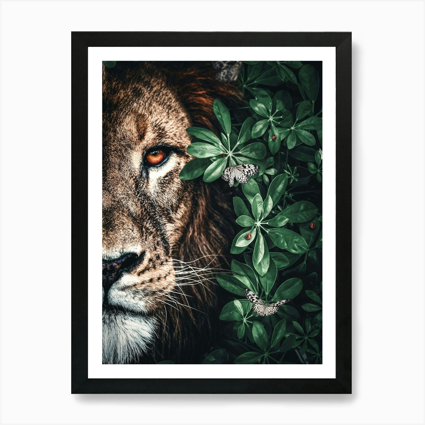 Lion In The Forest 1 Art Print Framed Wall Art Poster Canvas Print Picture