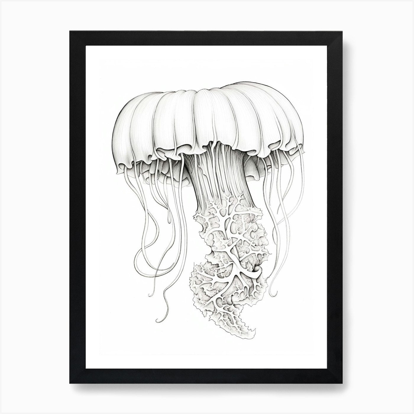Lions Mane Jellyfish Drawing2 Art P Framed Wall Art Poster Canvas Print Picture