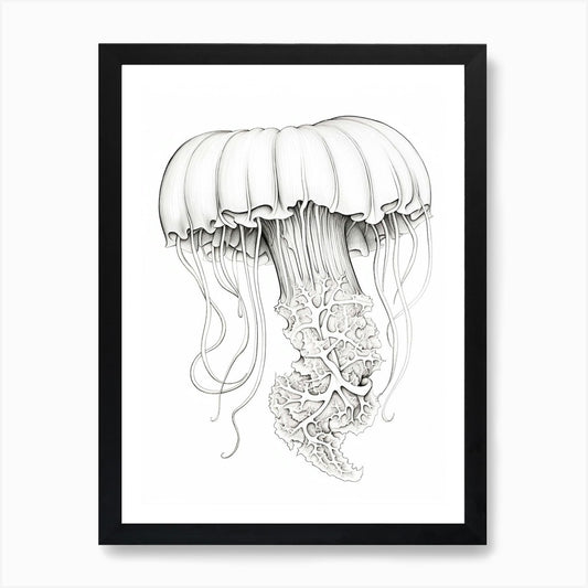 Lions Mane Jellyfish Drawing2 Art P Framed Wall Art Poster Canvas Print Picture