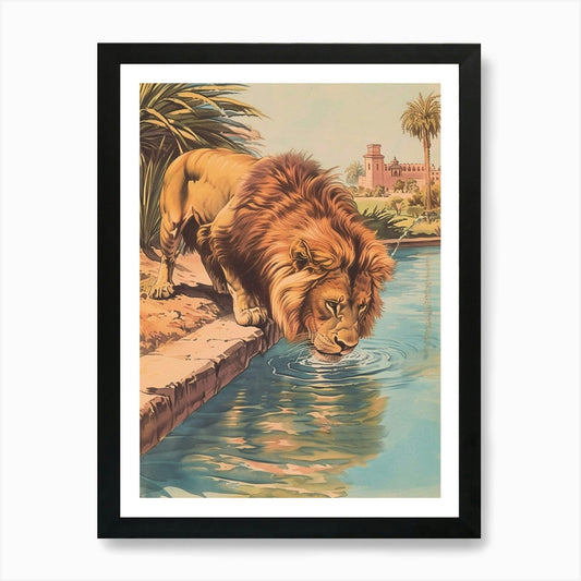 Barbary Lion Drinking Illustration  Framed Wall Art Poster Canvas Print Picture