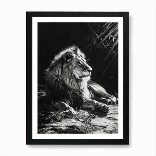Barbary Lion Charcoal Drawing Resti Framed Wall Art Poster Canvas Print Picture