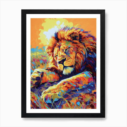 Transvaal Lion Resting In The Sun F Framed Wall Art Poster Canvas Print Picture