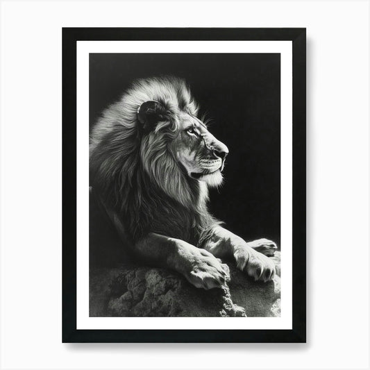Barbary Lion Charcoal Drawing Resti Framed Wall Art Poster Canvas Print Picture