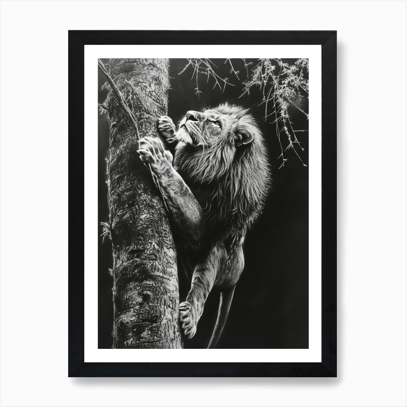 African Lion Charcoal Drawing Climb Framed Wall Art Poster Canvas Print Picture