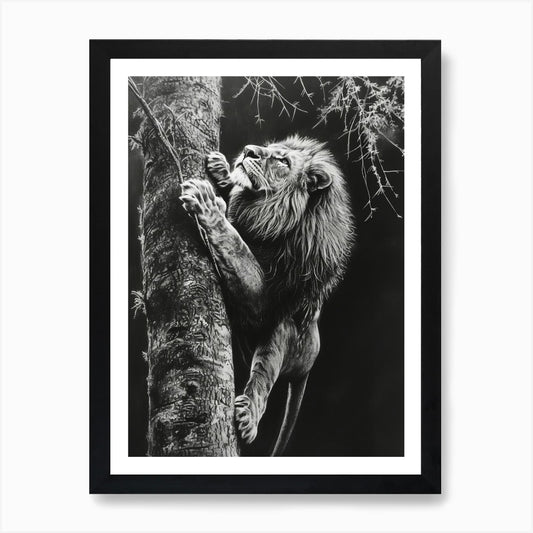 African Lion Charcoal Drawing Climb Framed Wall Art Poster Canvas Print Picture
