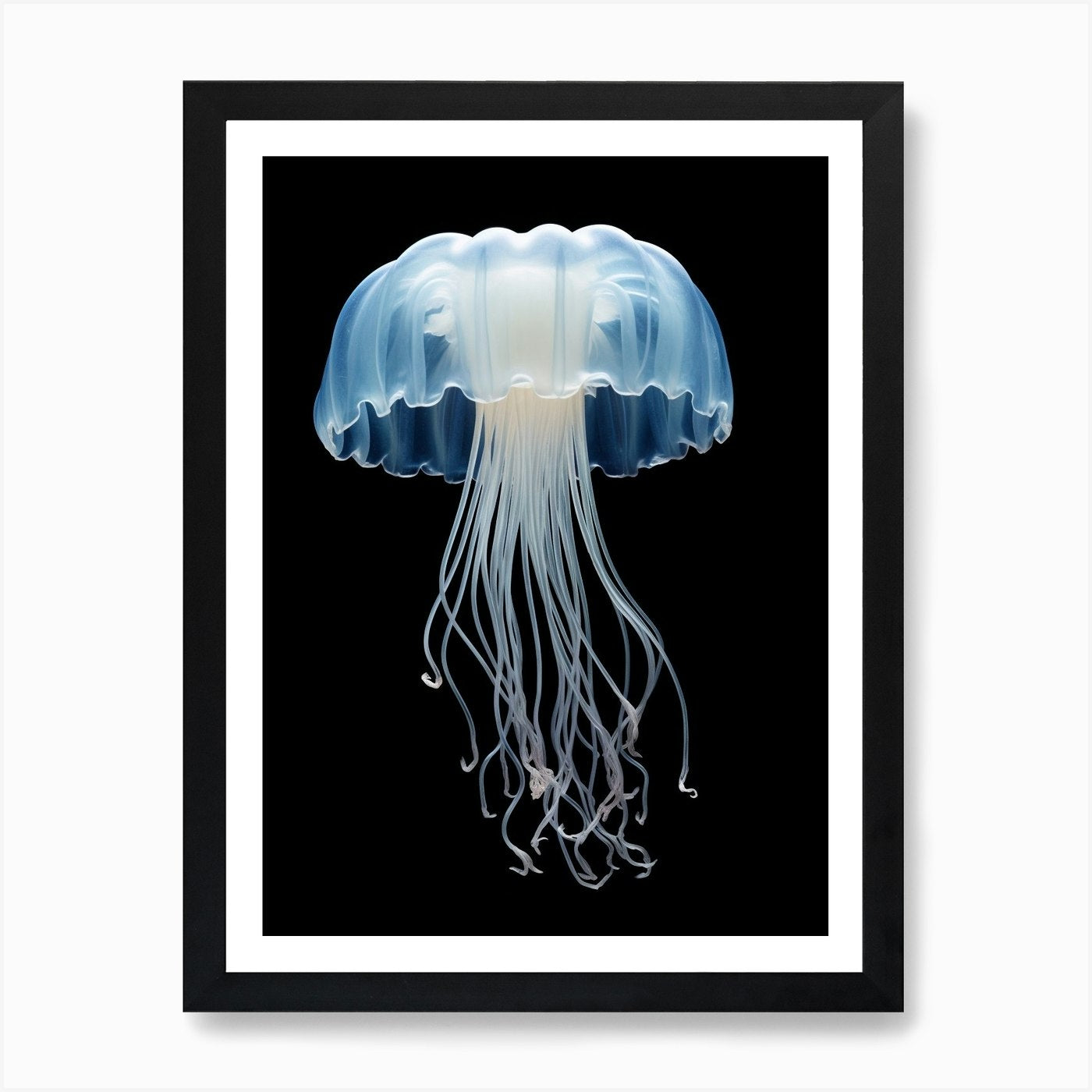 Lions Mane Jellyfish Realistic 6 Ar Framed Wall Art Poster Canvas Print Picture