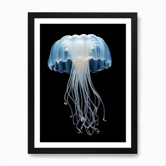 Lions Mane Jellyfish Realistic 6 Ar Framed Wall Art Poster Canvas Print Picture
