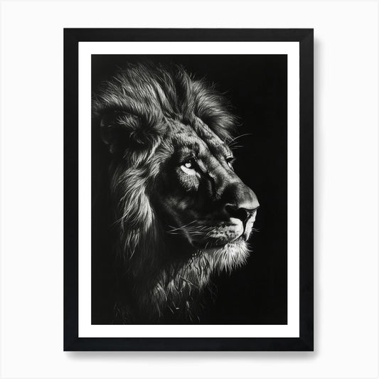 Barbary Lion Charcoal Drawing Night Framed Wall Art Poster Canvas Print Picture