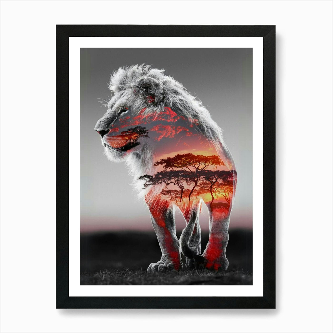Lion In The Sunset Art Print Framed Wall Art Poster Canvas Print Picture