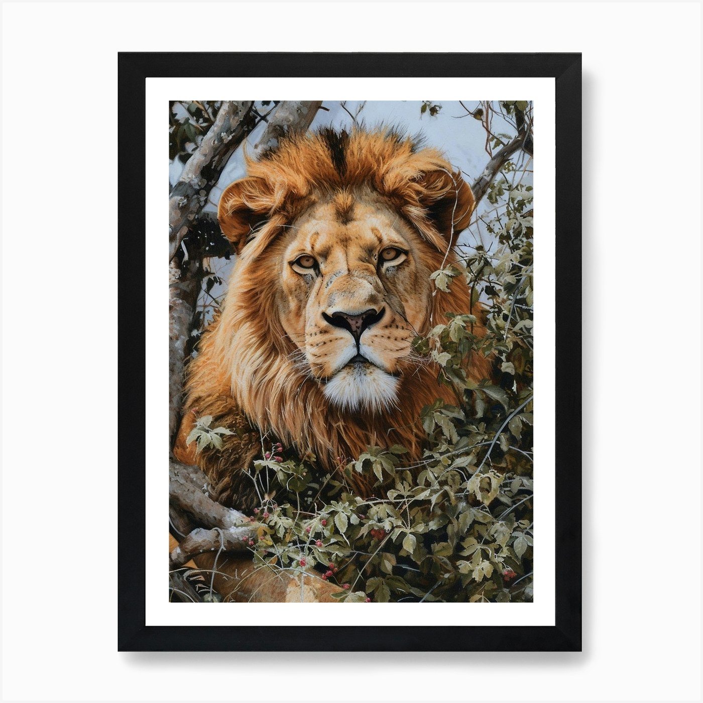 African Lion Lion In Different Seas Framed Wall Art Poster Canvas Print Picture