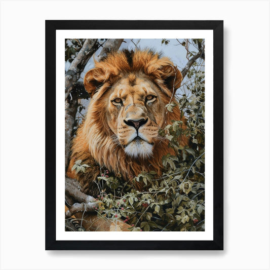 African Lion Lion In Different Seas Framed Wall Art Poster Canvas Print Picture