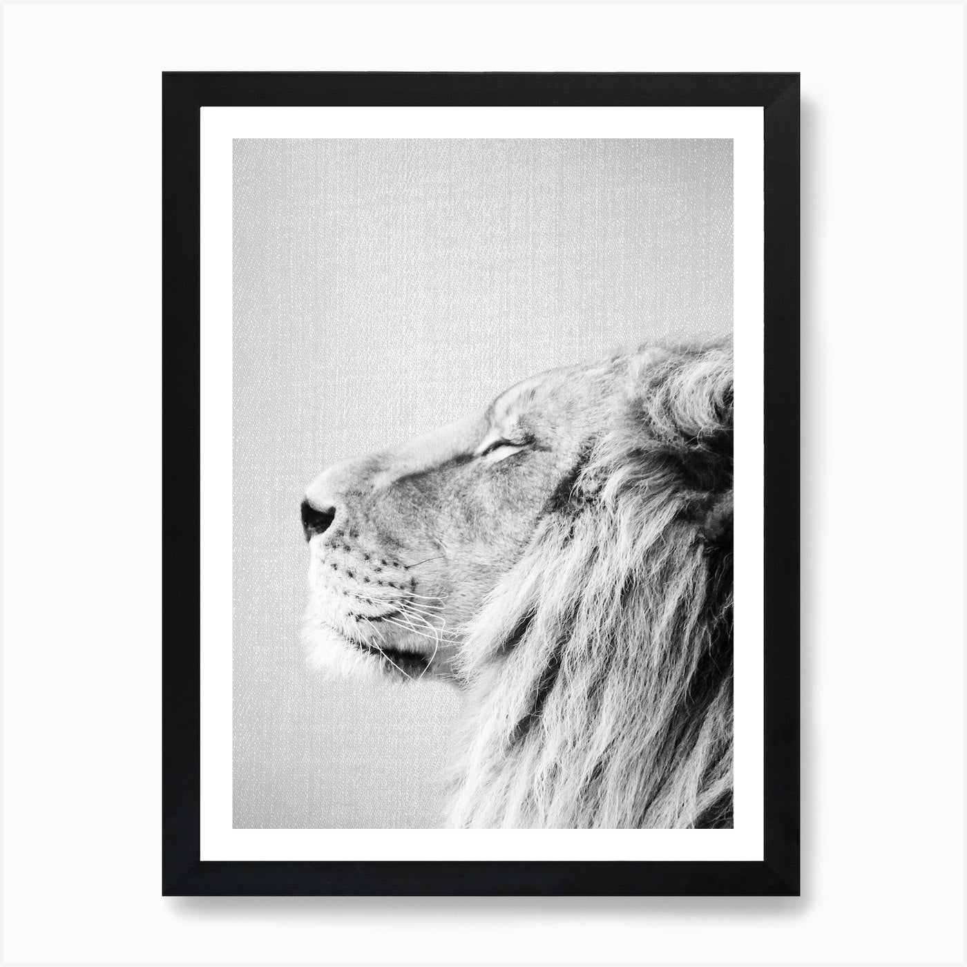 Lion Portrait - Black & White Art P Framed Wall Art Poster Canvas Print Picture