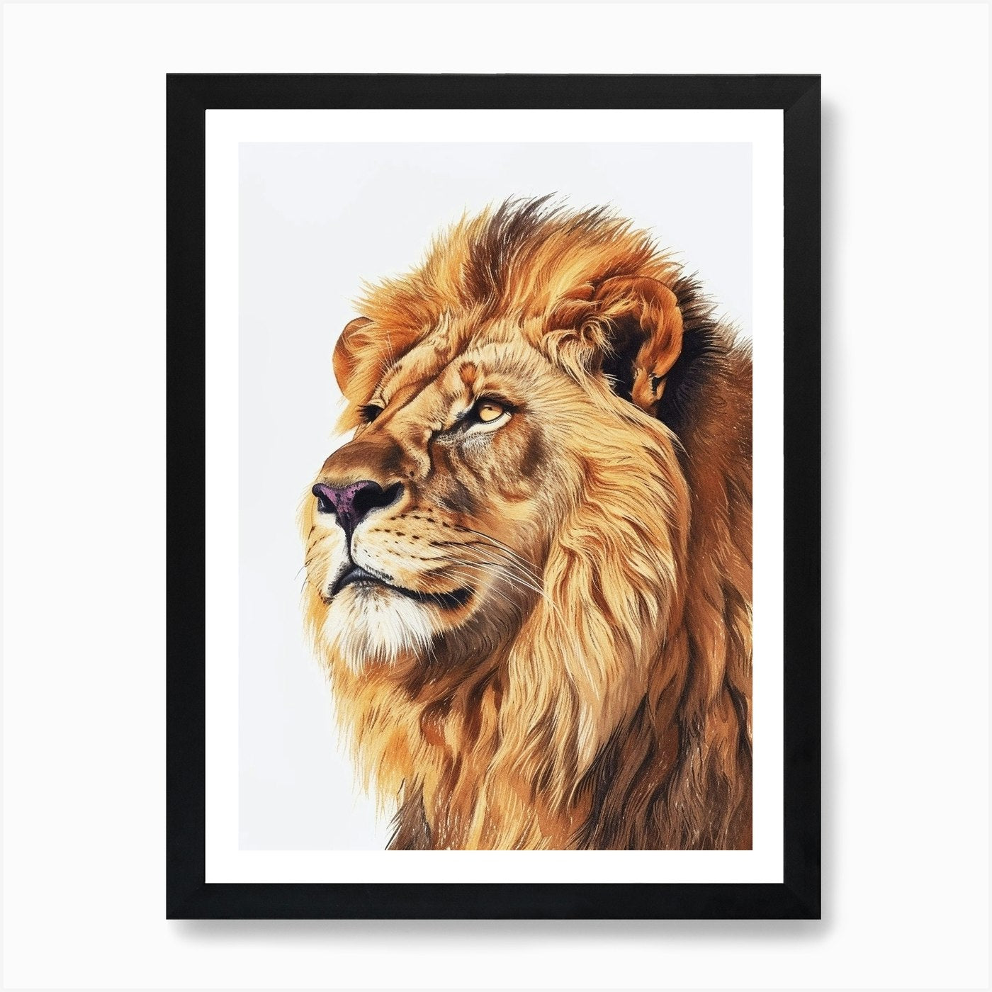 Barbary Lion Portrait Close Up Clip Framed Wall Art Poster Canvas Print Picture