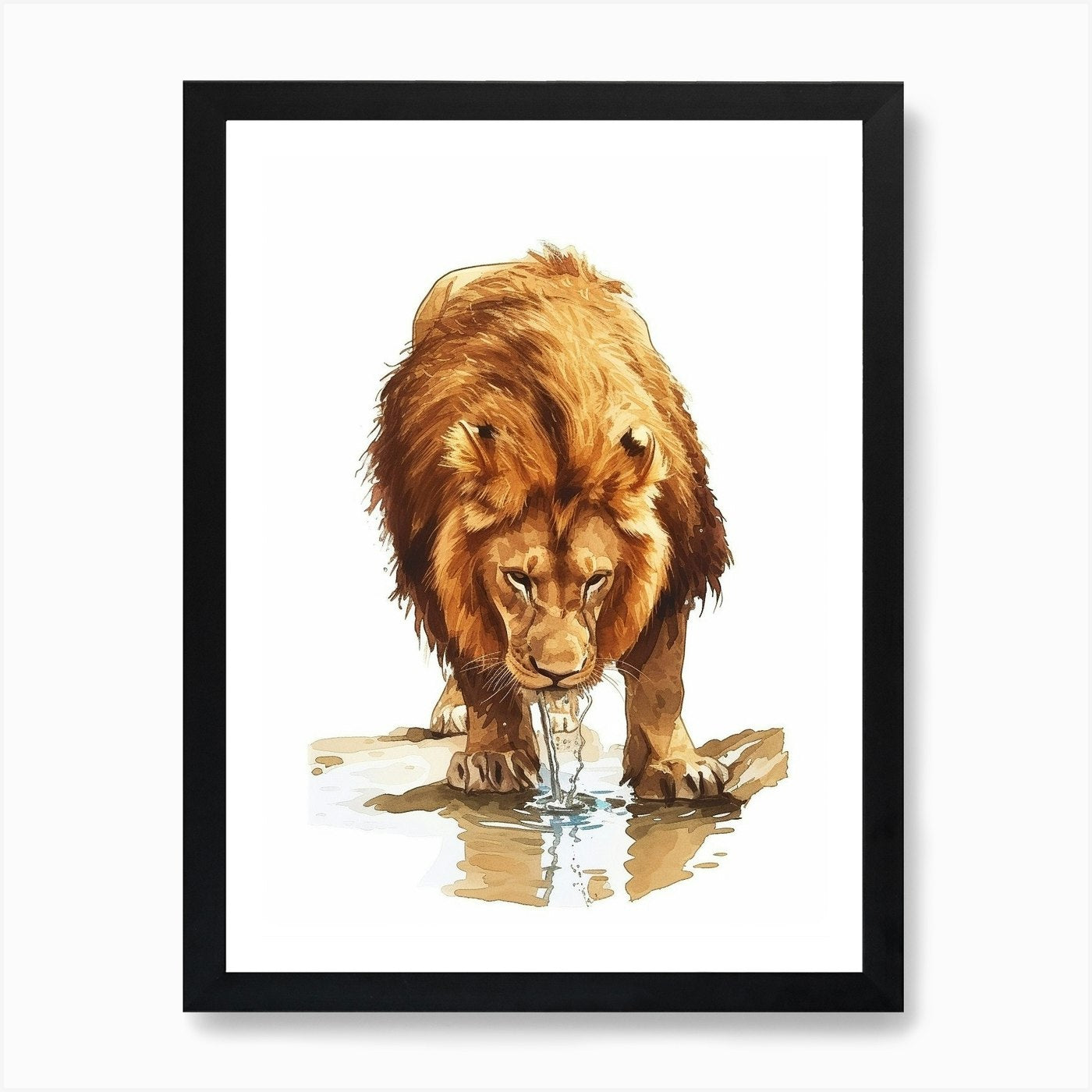 Barbary Lion Water 2 Art Print Framed Wall Art Poster Canvas Print Picture