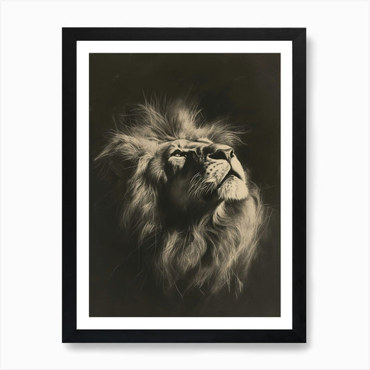 African Lion Charcoal Drawing Symbo Framed Wall Art Poster Canvas Print Picture