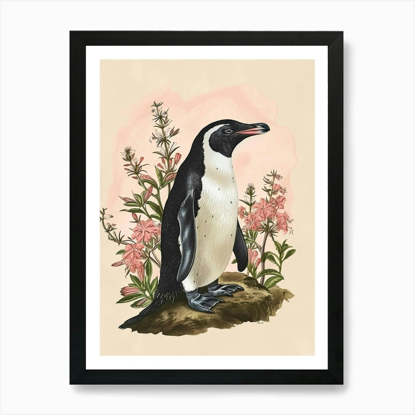 Adlie Penguin Sea Lion Island Vinta Framed Wall Art Poster Canvas Print Picture