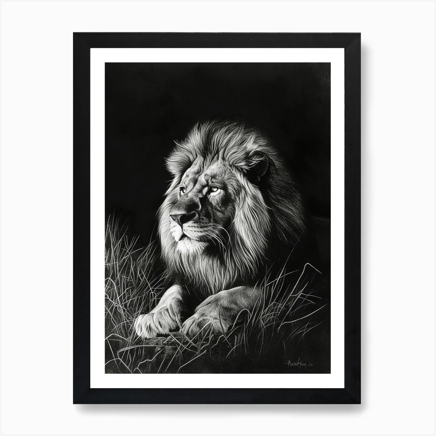 Barbary Lion Charcoal Drawing Night Framed Wall Art Poster Canvas Print Picture