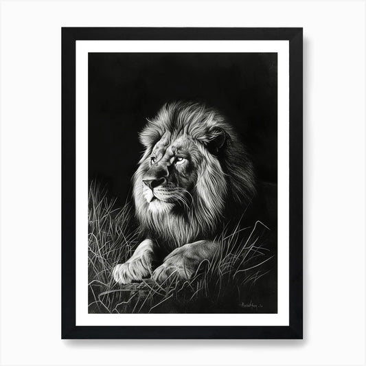 Barbary Lion Charcoal Drawing Night Framed Wall Art Poster Canvas Print Picture