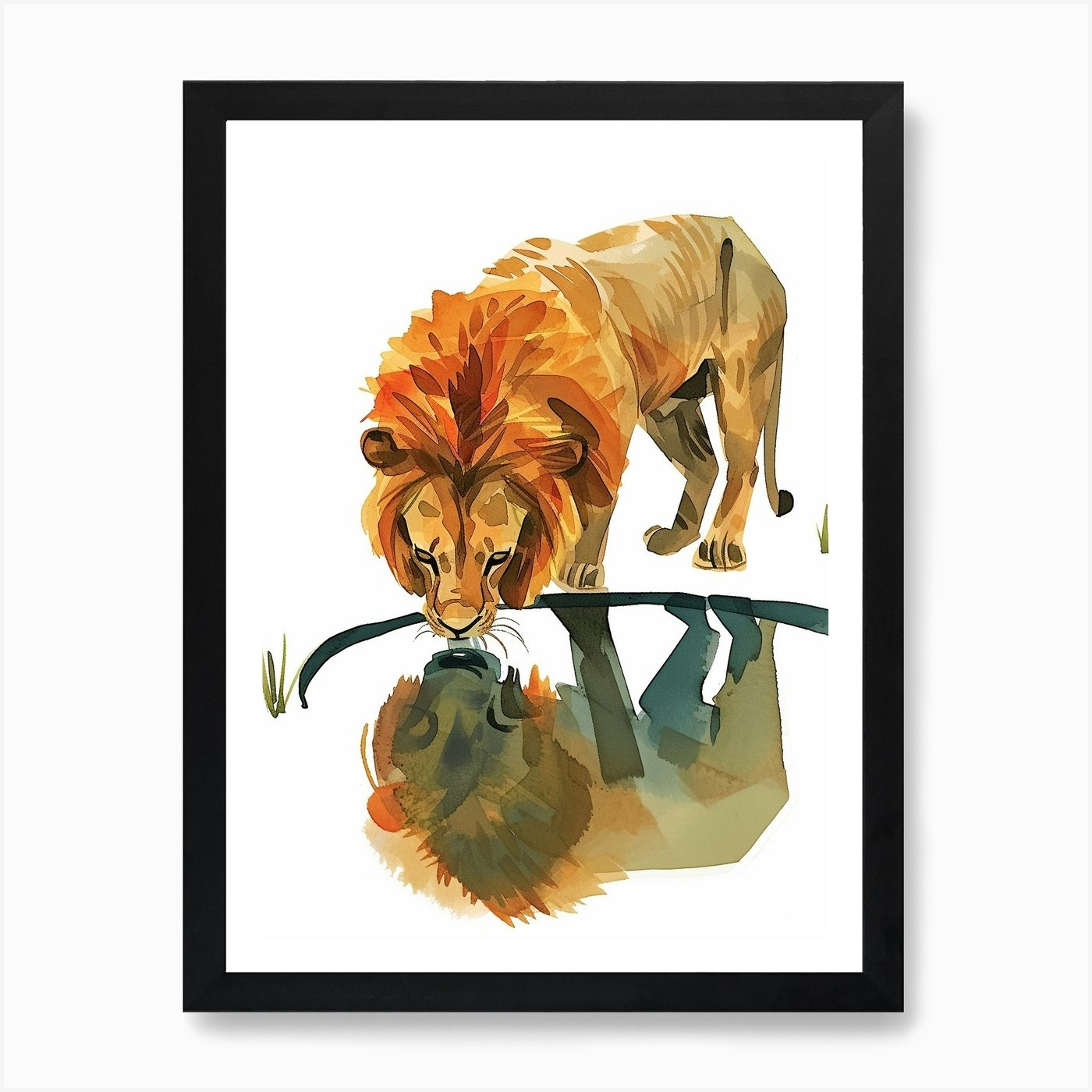 Barbary Lion Drinking From A Water  Framed Wall Art Poster Canvas Print Picture
