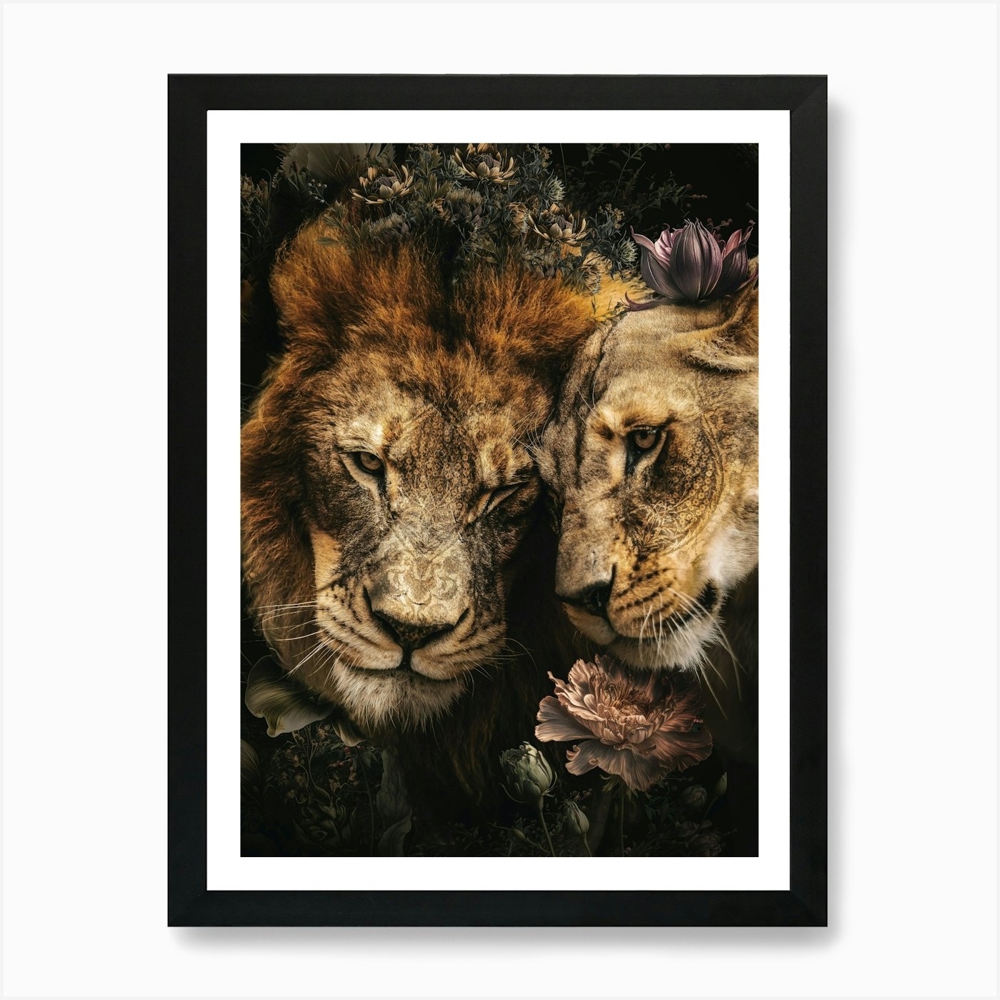 Lions And Lioness Art Print Framed Wall Art Poster Canvas Print Picture