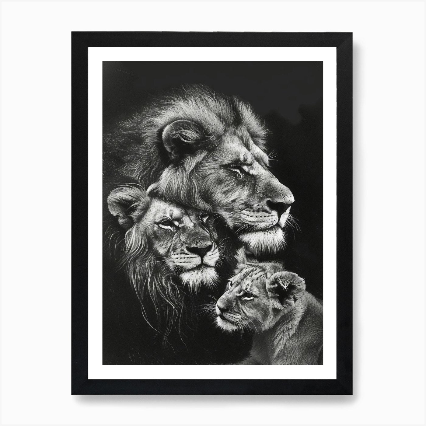 Barbary Lion Charcoal Drawing Famil Framed Wall Art Poster Canvas Print Picture