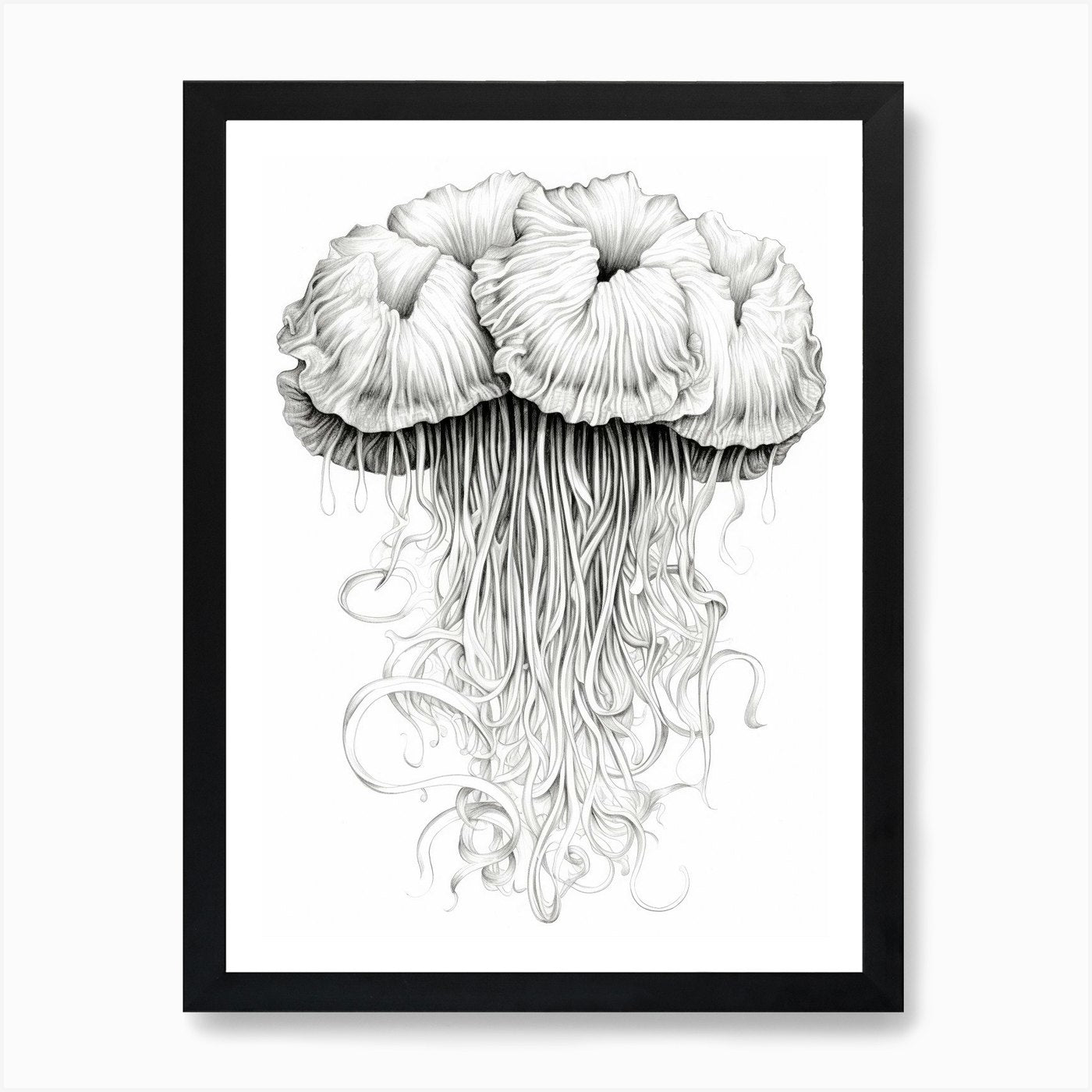 Lions Mane Jellyfish Drawing4 Art P Framed Wall Art Poster Canvas Print Picture