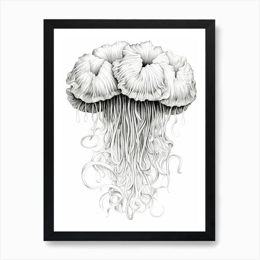 Lions Mane Jellyfish Drawing4 Art P Framed Wall Art Poster Canvas Print Picture