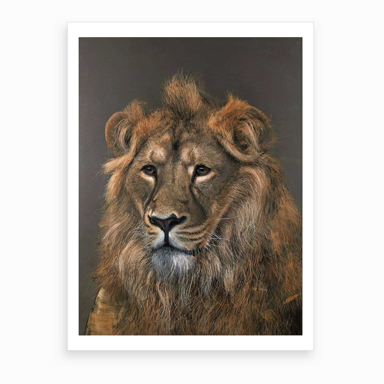 Asiatic Lion Art Print Framed Wall Art Poster Canvas Print Picture