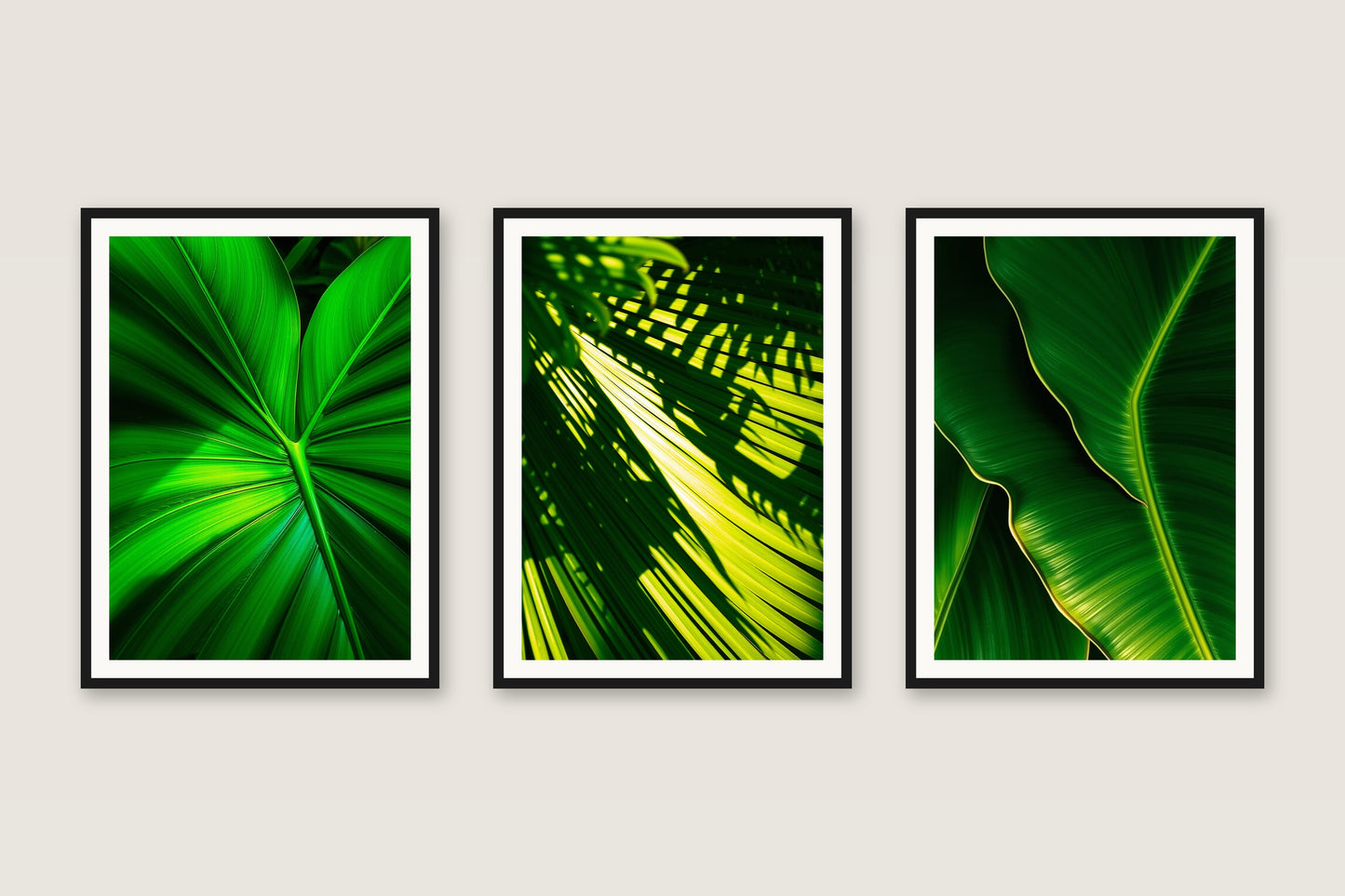 Jungle Green — Gallery Trio