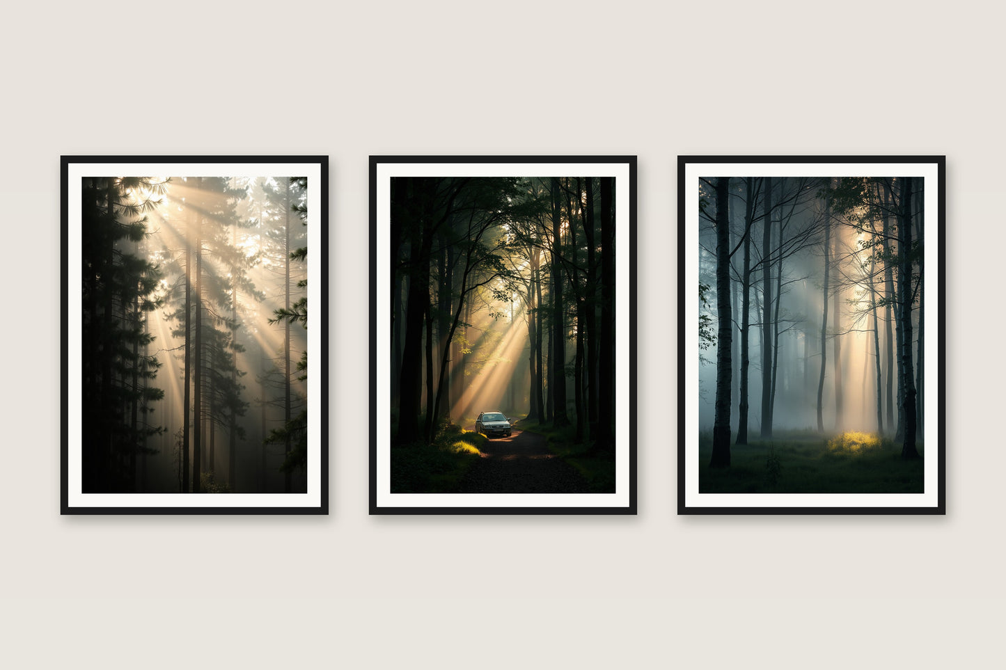 Into the Woods — Gallery Trio