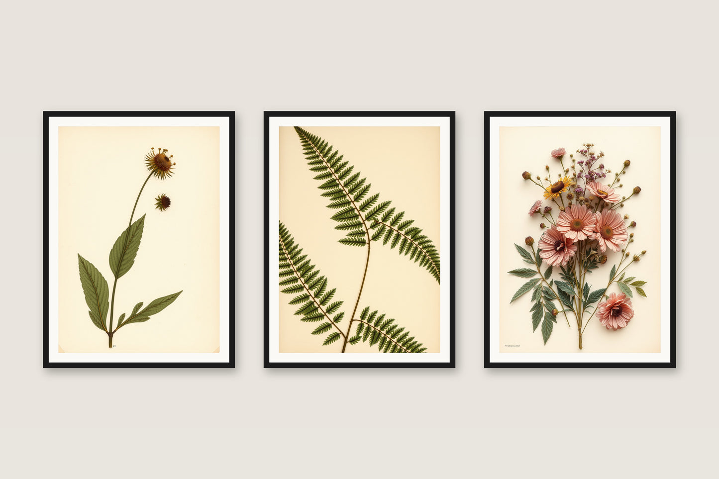Pressed Wildflowers — Gallery Trio