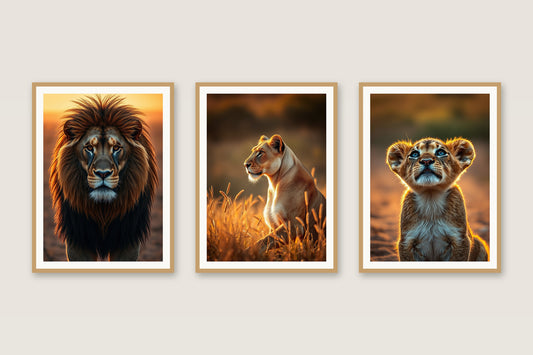 Golden Savanna lions gallery trio