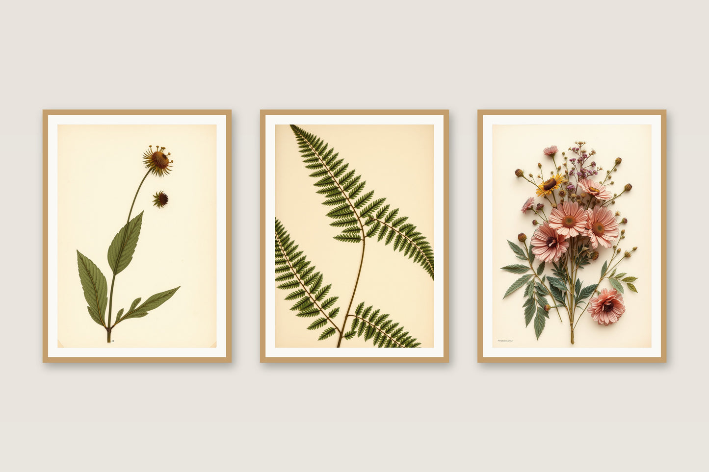Pressed Wildflowers botanical gallery trio