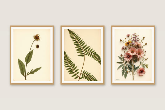 Pressed Wildflowers botanical gallery trio