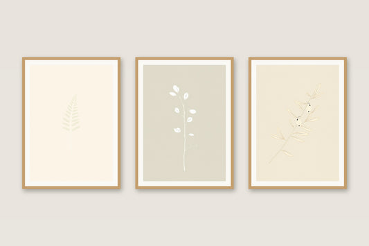 Sage Botanical botanical gallery trio