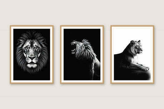 Monochrome Ink lions gallery trio