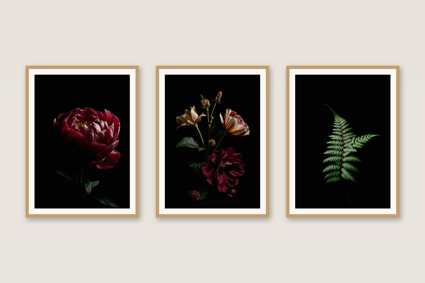 Dark Academia Florals botanical gallery trio