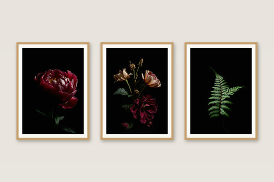 Dark Academia Florals botanical gallery trio