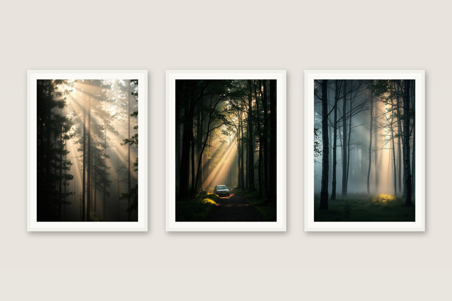 Into the Woods — Gallery Trio